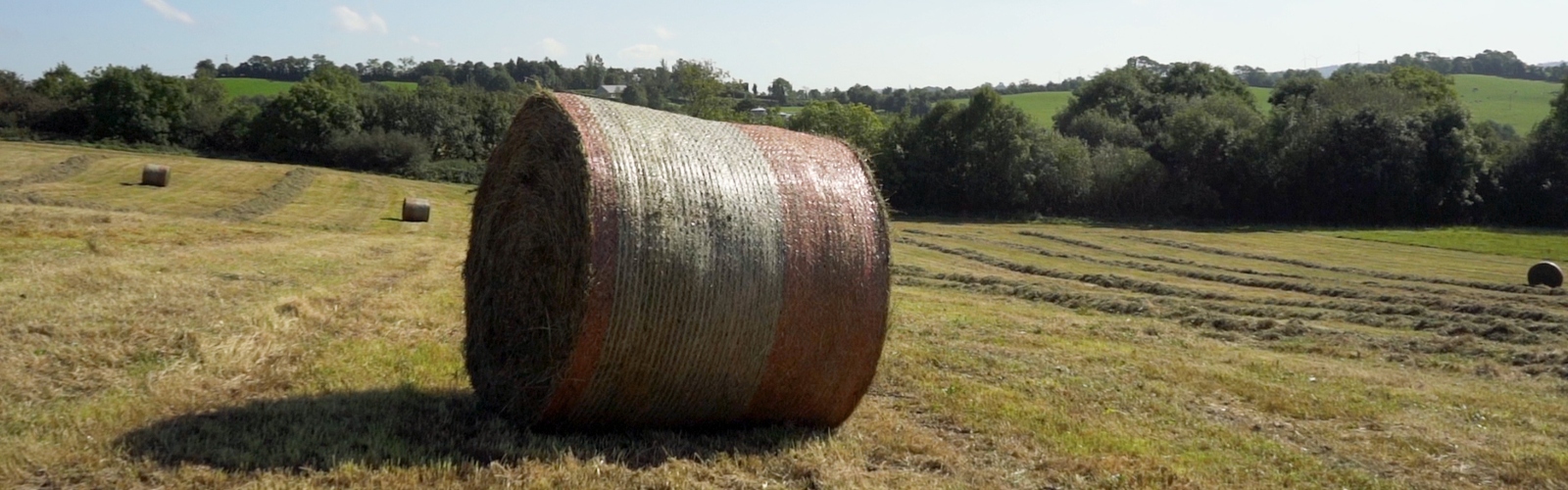 On The Job // Colorbale in Co. Monaghan
